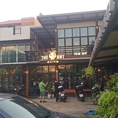 The Ant Gym ดิแอนท์ยิม