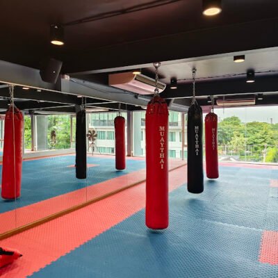 Fight Arena