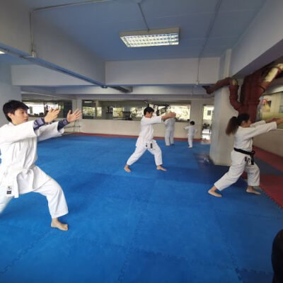 Executive Martial Arts Centre