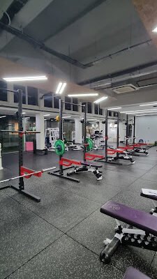 Genesis Gym