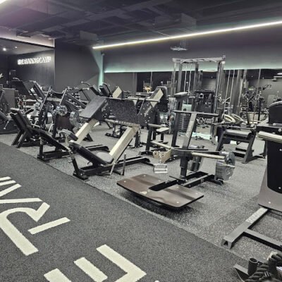The Training Camp