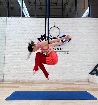 HOYHON CIRCUS